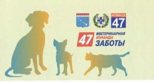 зАЩ.